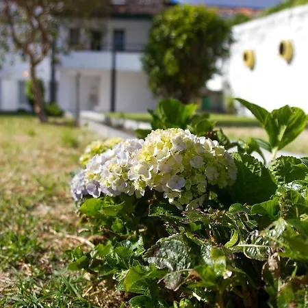 Guest house Casa Do Jardim